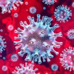 Így néz ki a koronavírus